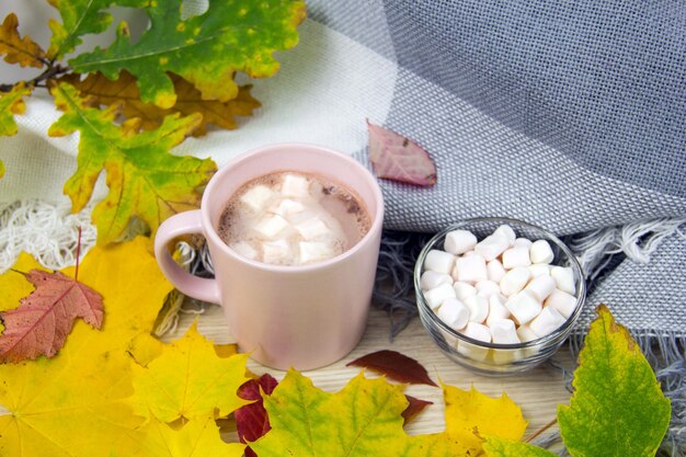 Cacao en marshmallows Herfst concept bovenaanzicht