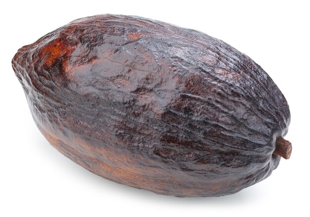 Cacao fruits pod isolated on white surface. Cacao pod Isolated with clipping path. Quality photo for your project.