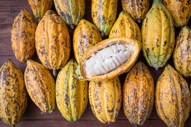 Cacao pod cut open to show cocoa beans inside. selective focus.