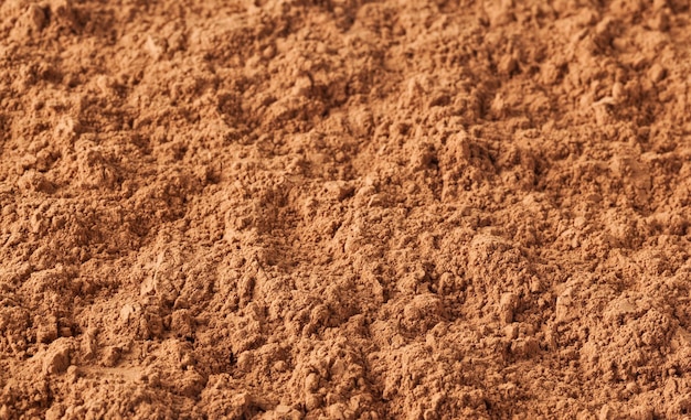 Cacao powder background