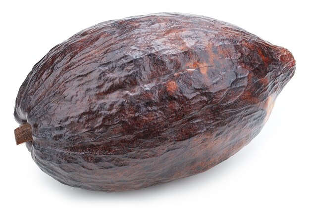 Cacao vruchten pod geïsoleerd op een witte achtergrond. Cacao pod geïsoleerd.