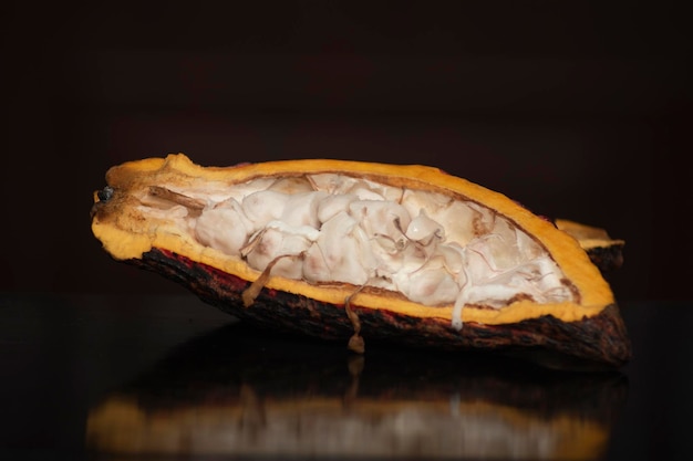 cacao