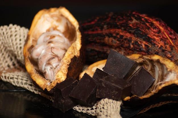 Cacao