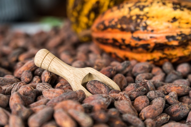 Foto cacaobonen en cacao pod op een houten oppervlak.