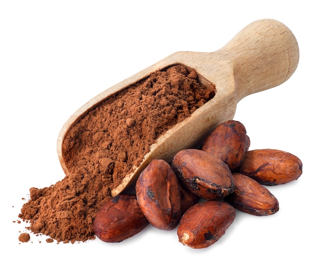 cacaopoeder in houten lepel