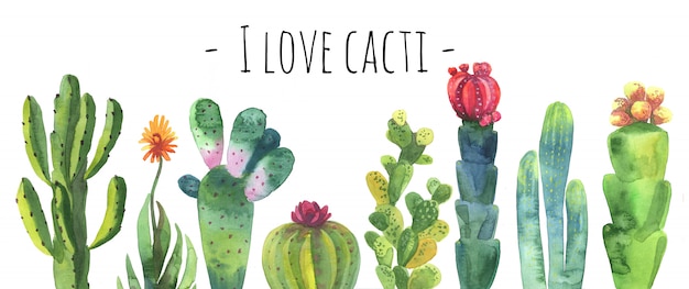 Foto cacti aquarel collectie set.