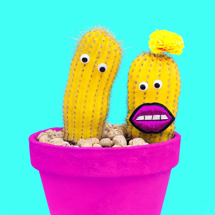 Photo cacti couple in love. minimal funny fashion concept.