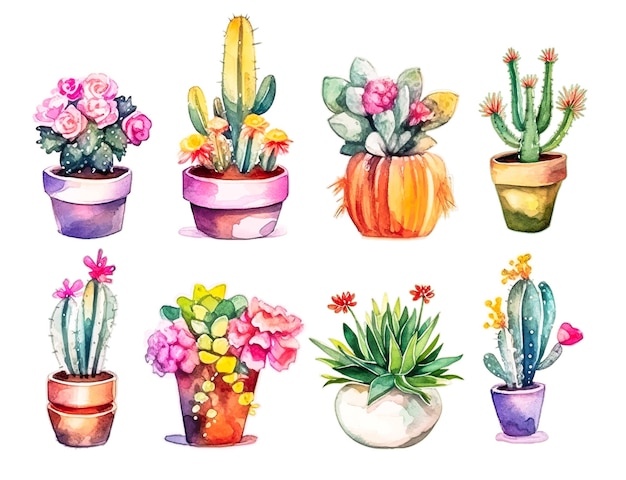 Cactus aquarel cactussen plant hand getekend op witte achtergrond