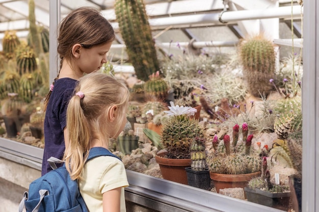 サボテン植物園。植物園の遠足の子供たち。温室内のさまざまなサボテン。