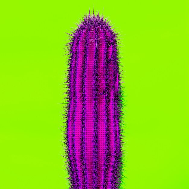 Cactus. cactus lover minimal design fashion color