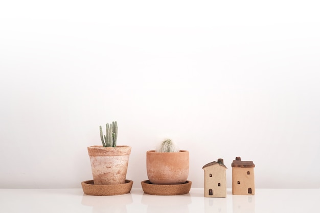 Cactus in clay pots and ceramic townhome 