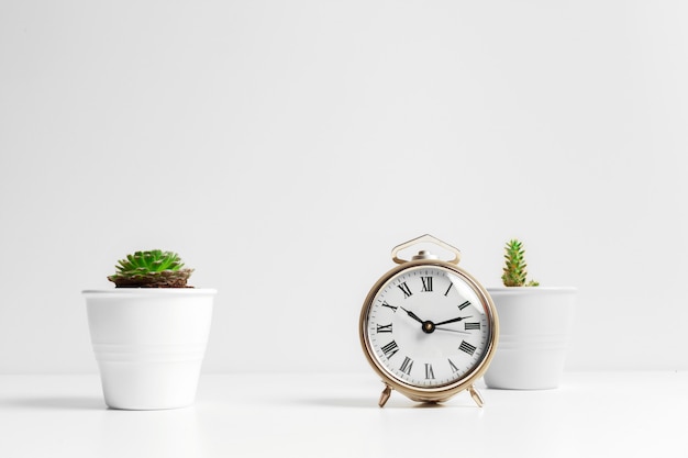 Cactus flowerpot and white alarm clock