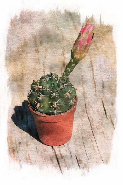 Photo cactus flowers in collection, watercolor drawing