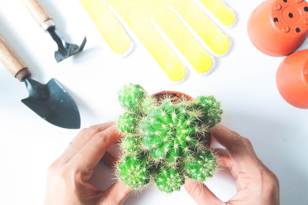 Cactus and gardening tools topview