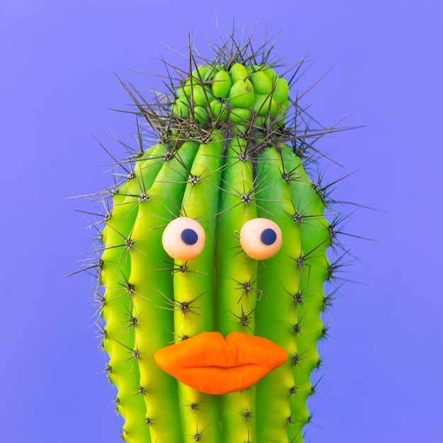 Cactus hipster man met sensuele lippen en Ã µyes. Verlegen heer