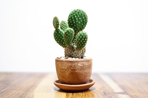 Cactus in aarden pot op houten tafel