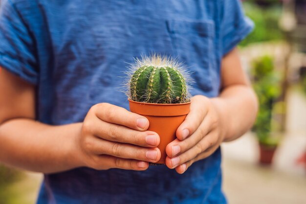 Foto cactus in de handen van de jongen. kleine jongen knuffelt zijn kamerplantcactus