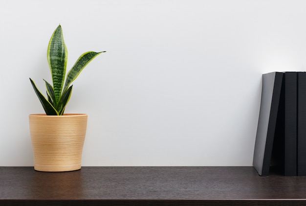 Cactus in een gele pot en boek op donkere werkruimtetafel en witte muurachtergrond