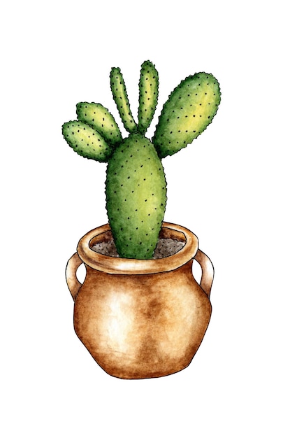 Cactus in een pot aquarel