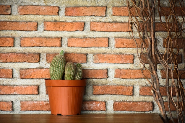 Cactus in een pot op houten bureau