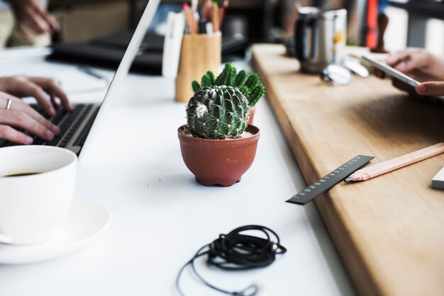 Cactus in the middle on the worktable