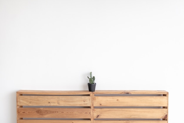 Cactus model on pallet board with isolated white background.