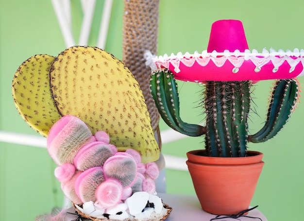 Photo cactus and pink sombrero arrangement for party