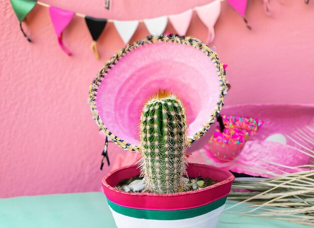 Cactus and pink sombrero arrangement for party