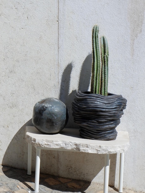 Cactus plant in the artistic flower pots outside on the streets of Lisbon Portugal