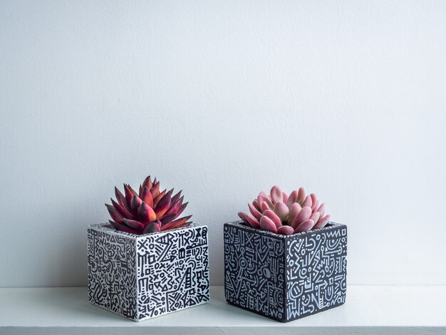 Cactus pot. Concrete pot. Modern geometric concrete planter.