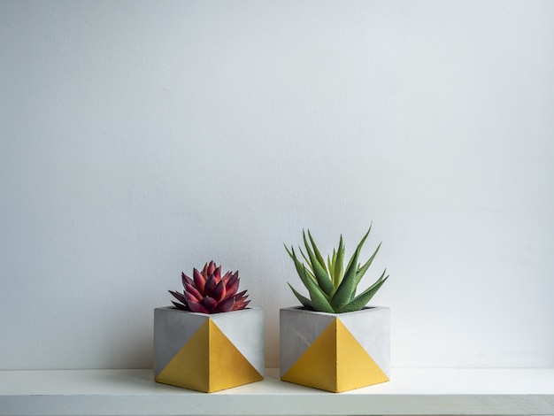 Cactus pot. Concrete pot. Modern geometric concrete planter.