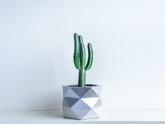 Cactus pot concrete pot modern geometric concrete planter