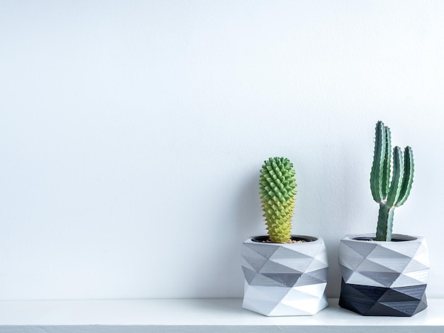 Cactus pot concrete pot modern geometric concrete planter