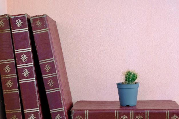 Foto vaso del cactus sull'annata del vecchio libro sullo scaffale