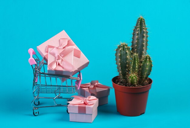 Cactus in pot and shopping trolley with gift boxes on blue studio