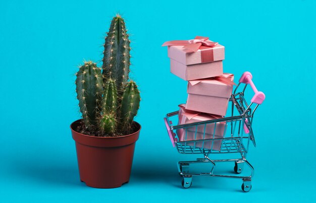 Cactus in pot and shopping trolley with gift boxes on blue studio