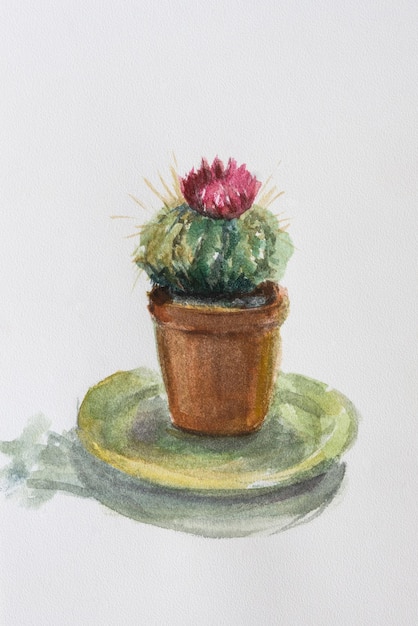 Cactus in a pot watercolor Illustration of indoor plants on an isolated white background