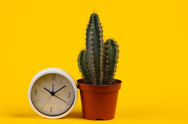 Cactus in pot with clock on yellow studio