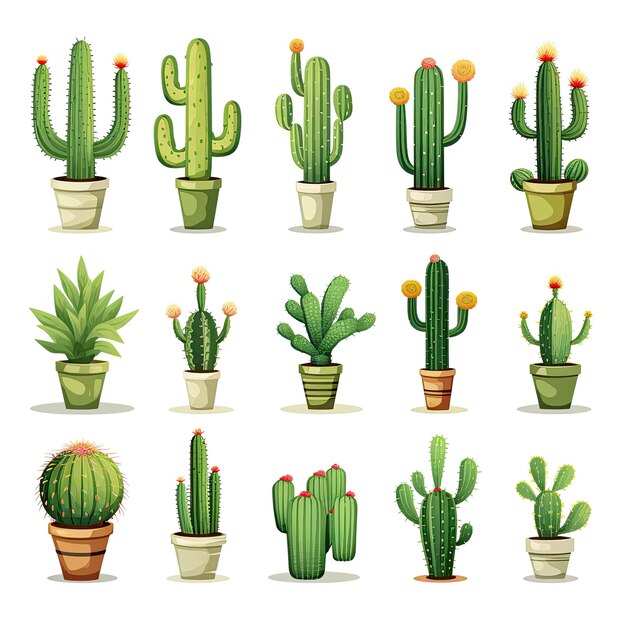 Foto il cactus impostato su sfondo bianco illustrazioni clipart