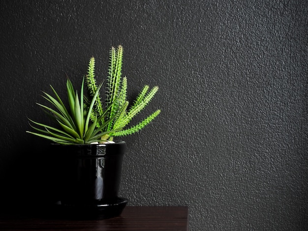 Cactus and succulent plants with gravels in black ceramic pot on wooden table on dark