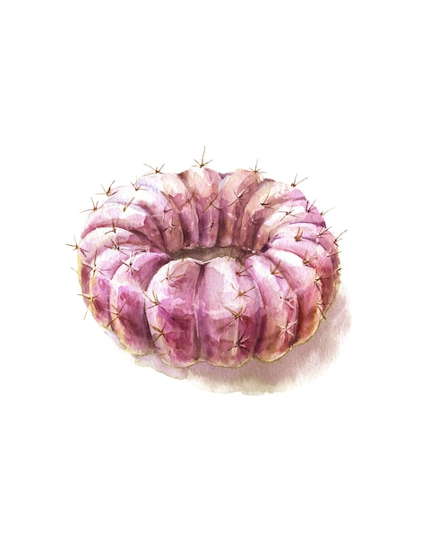 Cactus Sweet Yummy Watercolor. Donut Fresh Organic Diet