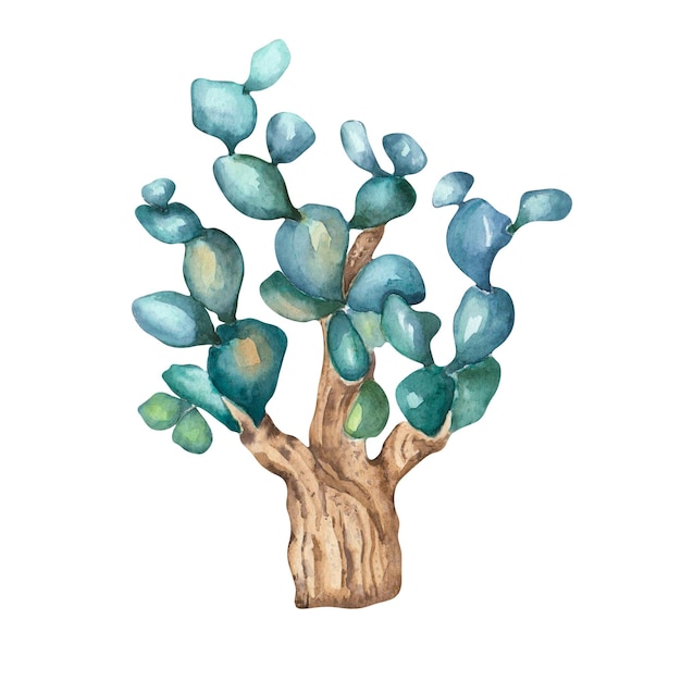 Cactus tree watercolor illustration on white background