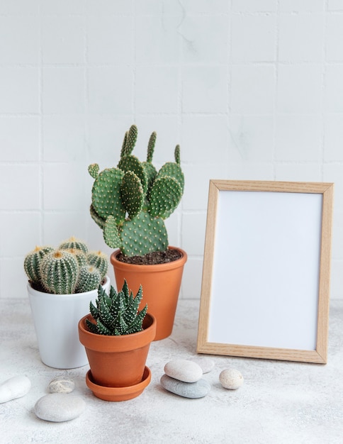 Cactuses and succulent plant in  pots  and mock up poster frame on the table