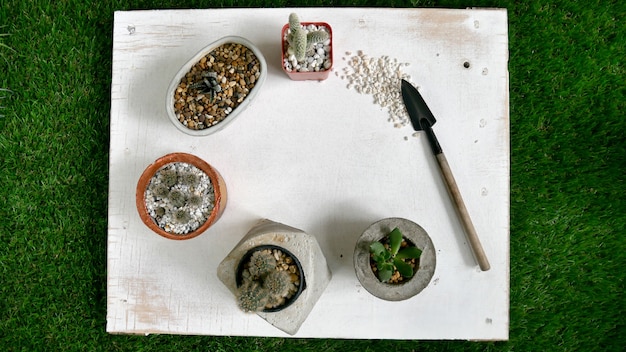 Cactussen en schop op de witte houten achtergrond.