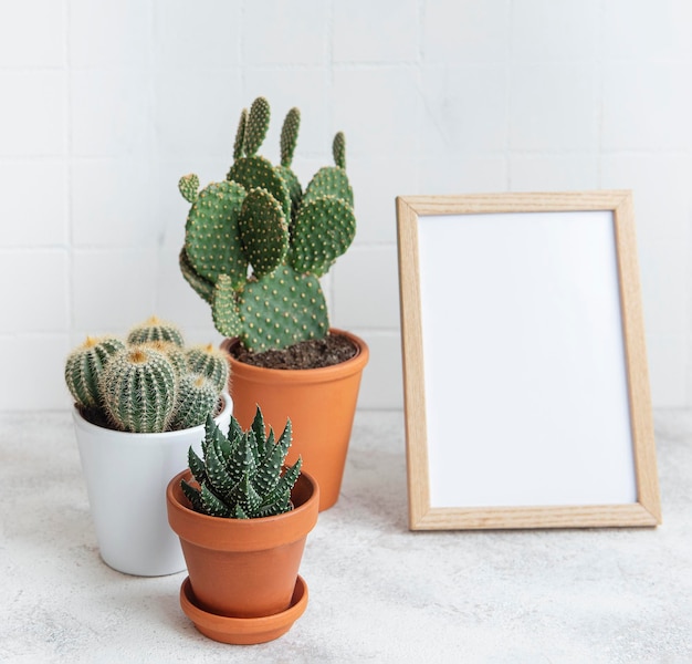 Foto cactussen en succulente planten in potten en mock-up poster frame op de tafel