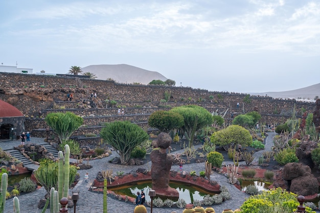 Cactustuin Lanzarote Canarische eilanden Spanje