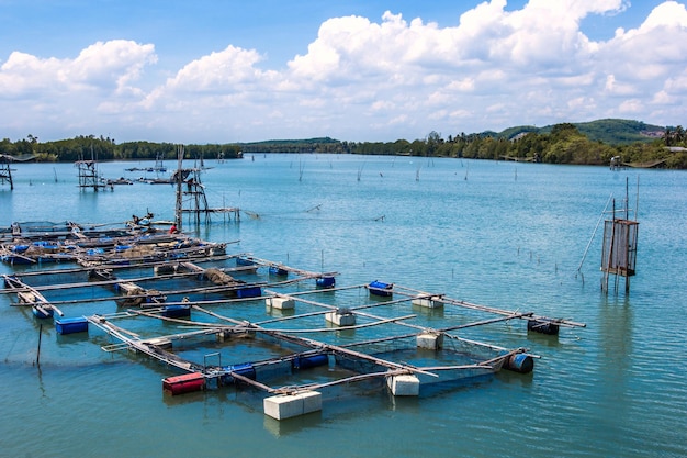 Photo cage aquaculture farming thailand