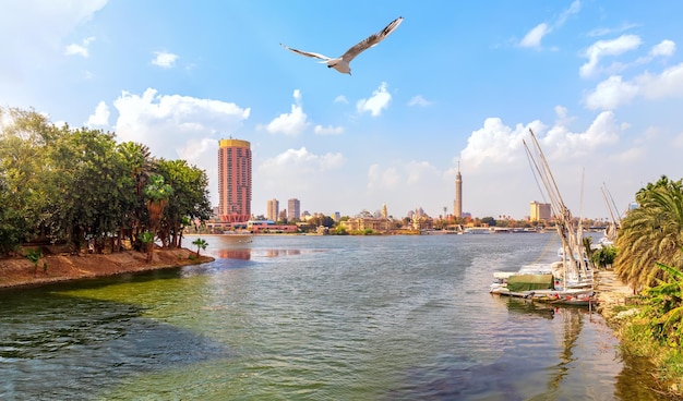 Гавань с видом на центр города Каира на Ниле недалеко от острова Гезира