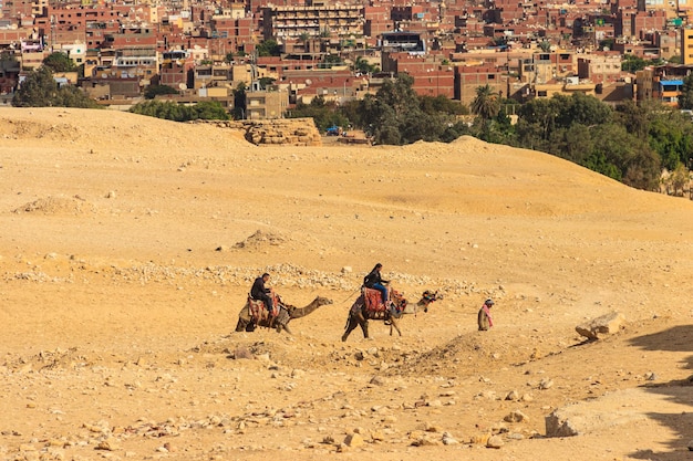 Il cairo, egitto - 8 dicembre 2018: turisti a dorso di cammello sull'altopiano di giza contro il paesaggio urbano del cairo
