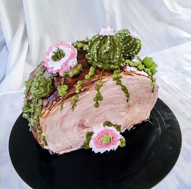 Photo cake in the form of a stump with cacti